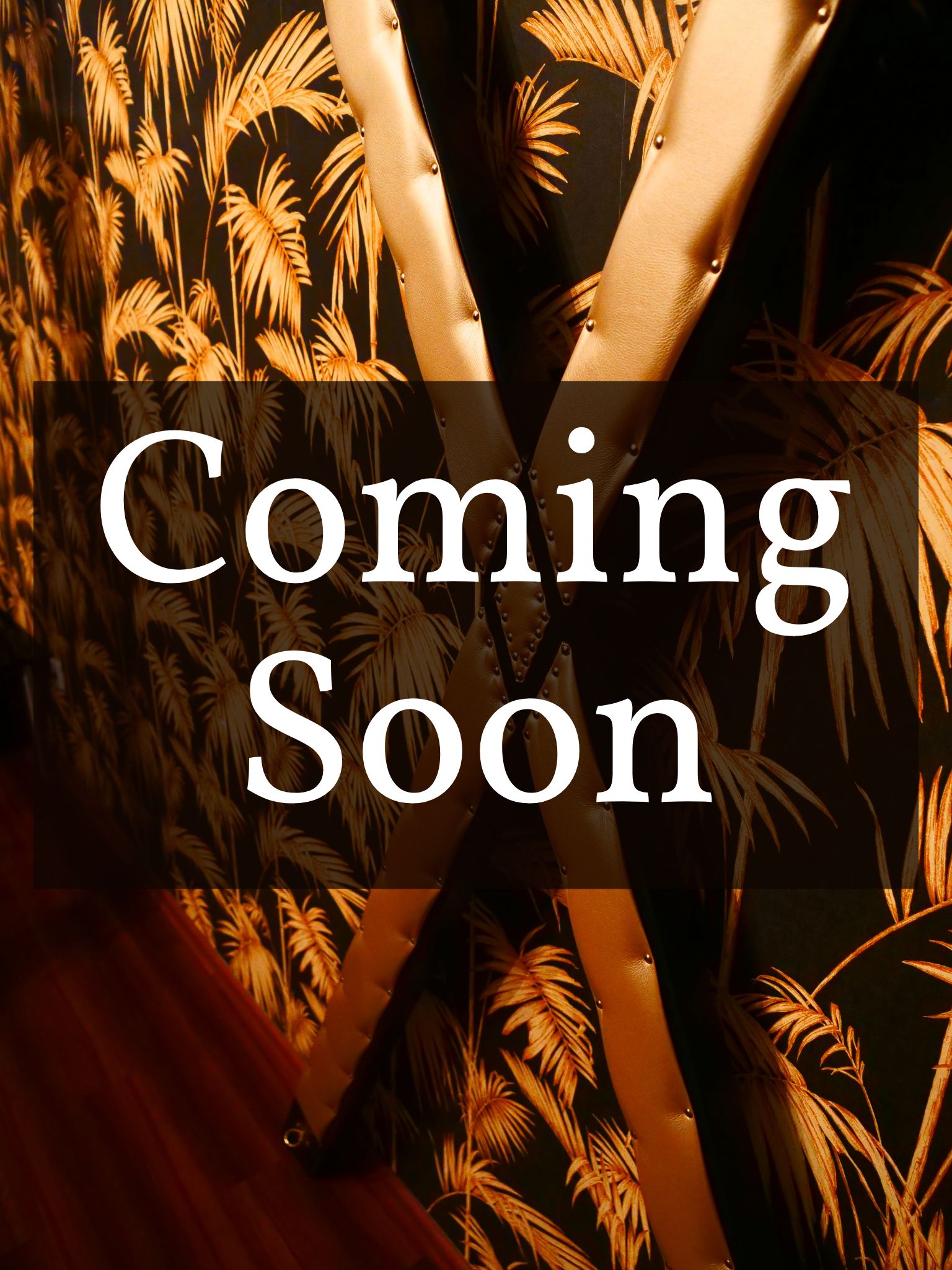 Text Coming Soon über einen BDSM Ambiente Bild